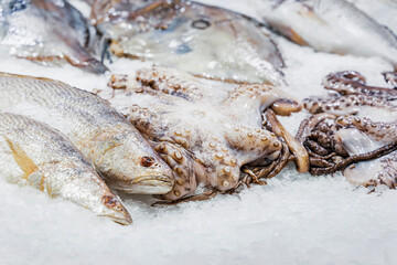 Raw and fresh fish and octopus on ice, supermarket counter