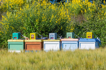 Scenic view of colored bee hives in Provence south of France 