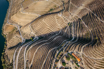 Aerial view of Douro Valley.Terraced vineyards and landscape near Pinhao, Portugal.Portuguese wine region. Beautiful autumn landscape.Concept for travel in Portugal and most beautiful places