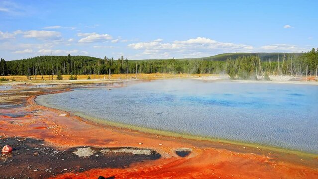 Beautiful view of hot spring pool geothermal landscape. Geyser basin and forest. Famous tourist attraction at Yellowstone national park. Hot thermal spring Black Pool in Yellowstone National Park