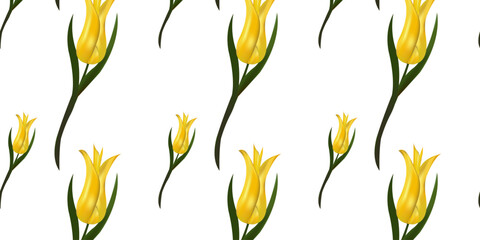 Seamless pattern with yellow tulips. Vector illustration