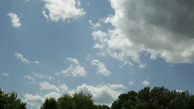 Timelapse of Clouds Moving Over Trees