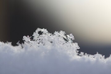Snowflake on Blurry Background