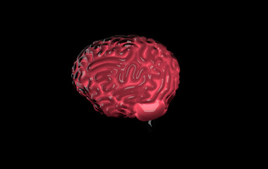 Human brain 3d rendering isolated on black, concept of intelligence, technology, learning. Light of idea