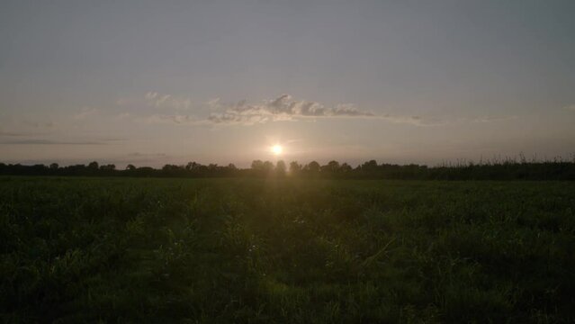 Sunset Over the Field