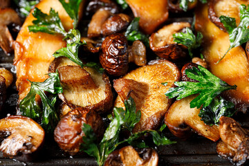 Grilled various types of mushrooms seasoned with parsley, close up view