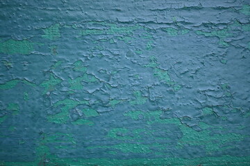 abstract texture of green peeling paint on a wooden surface, background for a banner, green background for a poster, painted texture of a bench, wooden texture of an old tree 
gray old wood and green