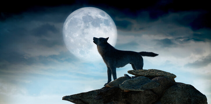 silhouette of wolf howling at the full moon  3d render 