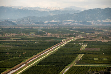 Beautiful rural countryside and fruit plantation on Neretva river festuary, famous farming area in southern Croatia