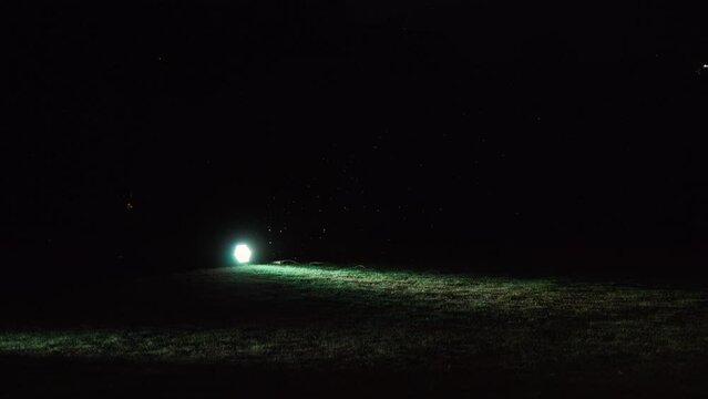 One electric spotlight lies on ground at night and illuminates cut green lawn with cold light. Insects fly in front of lantern. In background, flashes of light music are moving.