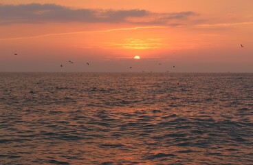 Sea