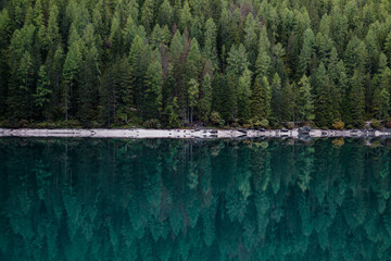 Pine tree forest reflection in blue lake creates wonderful symmetry