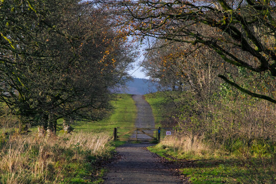 A country lane near Murdock Castle, Scotland
