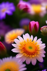 Obraz na płótnie Canvas White and orange chrysanthemum close up flower blur background in the garden