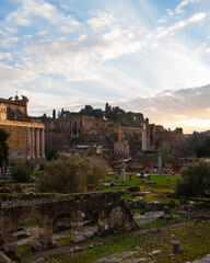 Fototapeta na wymiar ruins of ancient city Rome, Italy