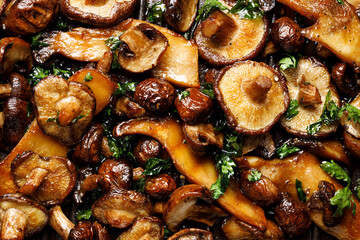 Grilled various types of mushrooms seasoned with  parsley,  close up view