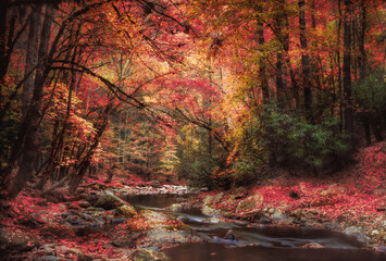 Scenic autumn view from Smoky Mountain National Park with colorful fall foliage and stream 
