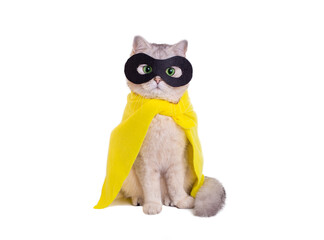 Funny white cat in a black mask and yellow cape