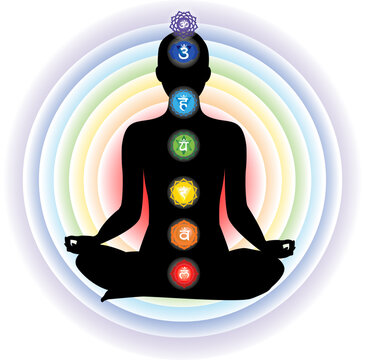 The human chakra system