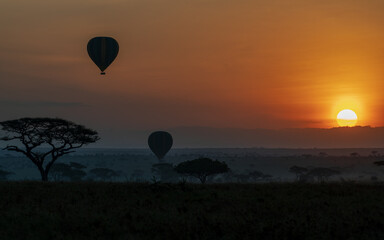 Hot air balloons in the savannah dawn. Serengeti, Tanzania (Africa)	