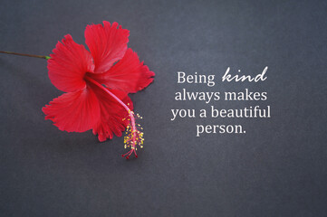 Red Hibiscus flower and kindness inspirational motivational quote - Being kind always makes you a beautiful person, on gray background. Being nice, being good and kindness concepts.