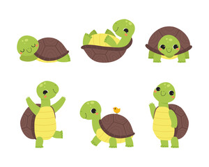 Obraz premium Cute Turtle with Shell and Short Feet Engaged in Different Activity Vector Set