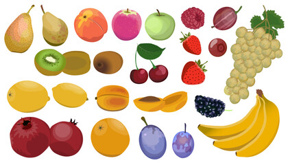 Set of garden and tropical fruits and berries. Apple, orange, banana, kiwi, pear, apricot, peach, grape, pomegranate, cherry, strawberry. Vector illustration.