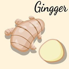 illustration of a gingger, vector, gingger bread, for teacher, student, collage, banner, flyer, power point, brochure, poster, ads, and comercial use, gingger soup