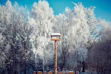Karmnik Zimą - obrazy, fototapety, plakaty