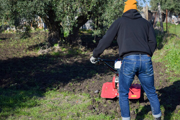 Obraz premium An adult farmer on a tractor loosens the soil and removes weeds on a potato plantation. Improving air access and water holding capacity. Crop care. Rural farming agricultural industry. Small farming