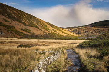 Old stone wall and a small river or stream leading to Lough Dan in a valley, Wicklow Mountains, Ireland