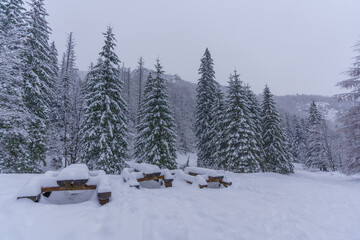 Heavily snow-covered benches in a mountain forest in the Tatra Mountains