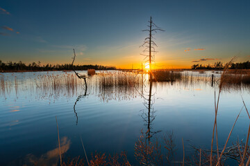 Fototapeta na wymiar sunset over the swamp lake. reflection on the water