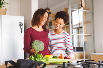 Happy diverse lesbian couple unpacking groceries in kitchen