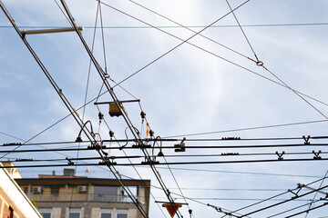 wires of the trolleybus interchange