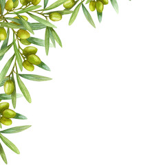 Obraz premium Olive branch with fruits, Watercolor illustration. Green branch.
