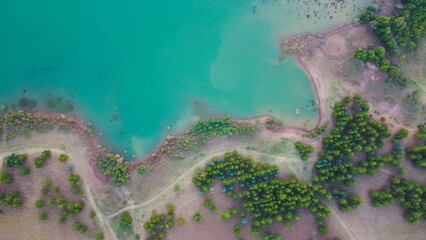 lake and forest view. Trees and blue lake in perfect landscape with drone