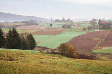Fototapeta premium Beautiful green meadow in autumn morning
