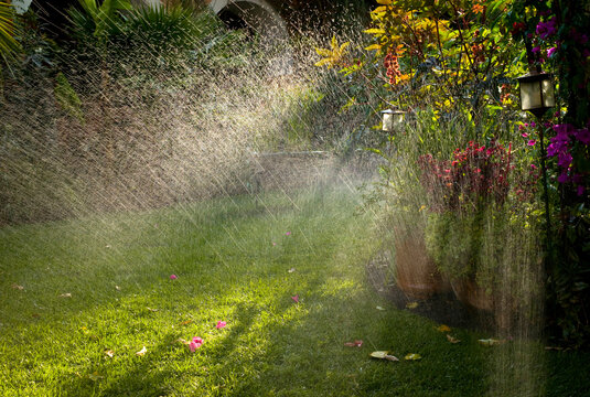 Sunlight through sprinkler in garden at Hacienda Las Trancas, Mexico.