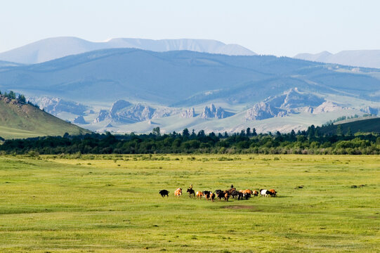Herders, Terelj National Park, Mongolia