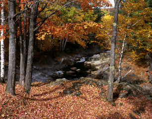 Coos Canyon is a gorge carved into solid granite by the Swift River, Maine.