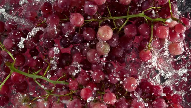 Super Slow Motion Shot of Fresh Red Grape Wine Falling into Water on Purple Background at 1000 fps.