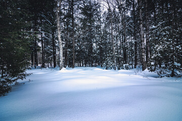 Fototapeta premium Winter paradise Canada January in 2023