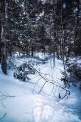 Winter paradise Canada January in 2023