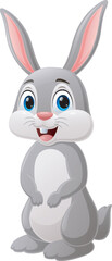 Cute rabbit cartoon on white background