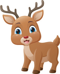Cute baby deer cartoon on white background