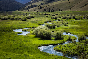 Meandering stream with green grass and willows in Western Montana during spring runoff