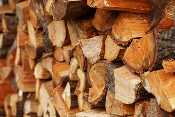 Firewood piles.
