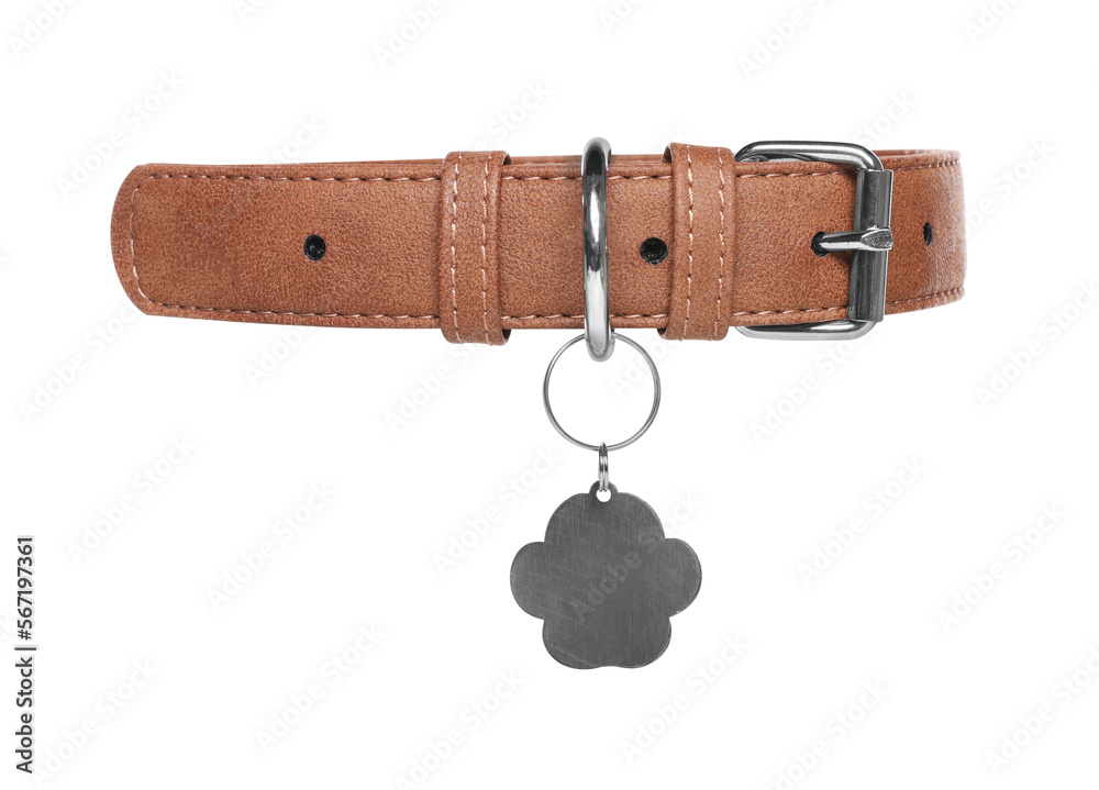 Wall mural brown leather dog collar with tag isolated on white