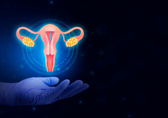 Hand holding a T-shaped birth control intrauterine device, IUD inside the female reproductive...